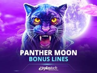 Panther Moon_ Bonus Lines™ screenshot