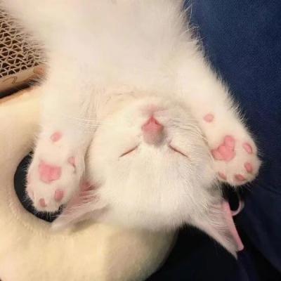 Hendra Setiawan avatar